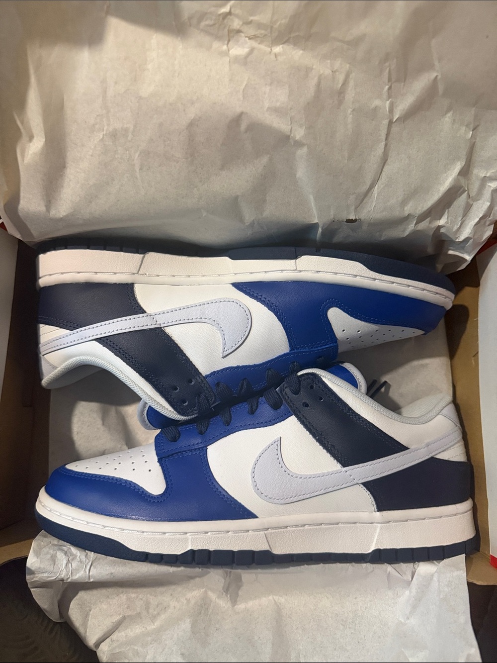 Nike Low-Top Sneakers in White & Blue
